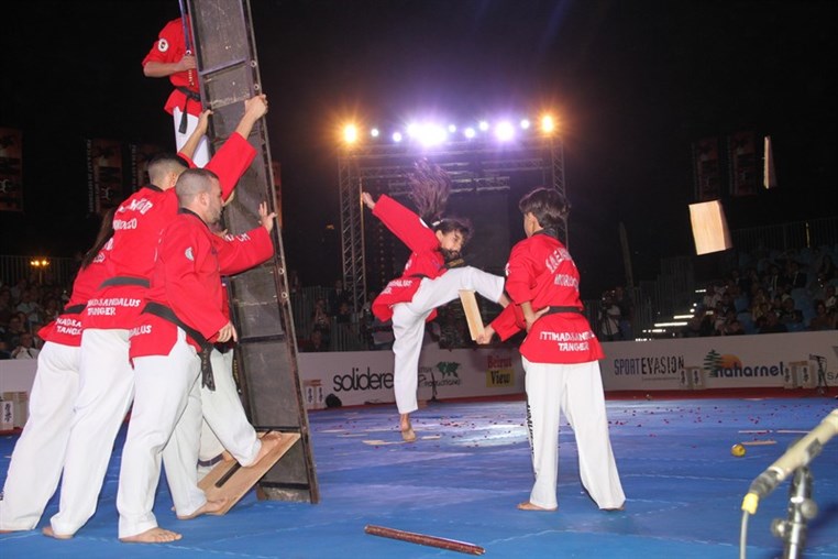 Martial Arts Festival